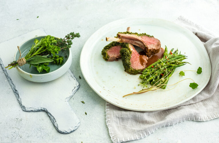 Maďarská gastronomie opět září 11 michelinských hvězdiček a 59 doporučení v nedávno vydaném průvodci MICHELIN Guide Hungary 2023