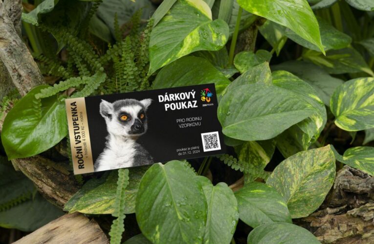 Novinka Zoo Praha: Dárkové poukazy a elektronická permanentka