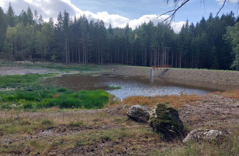 Lesy ČR zrekonstruovaly u Stříbra historickou nádrž, vznikl i mokřad a tůně