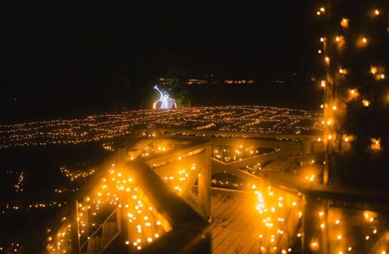 „Abecedu Vánoc“ na zámku Loučeň tvoří i originální ozdoby Tříkrálového stromečku