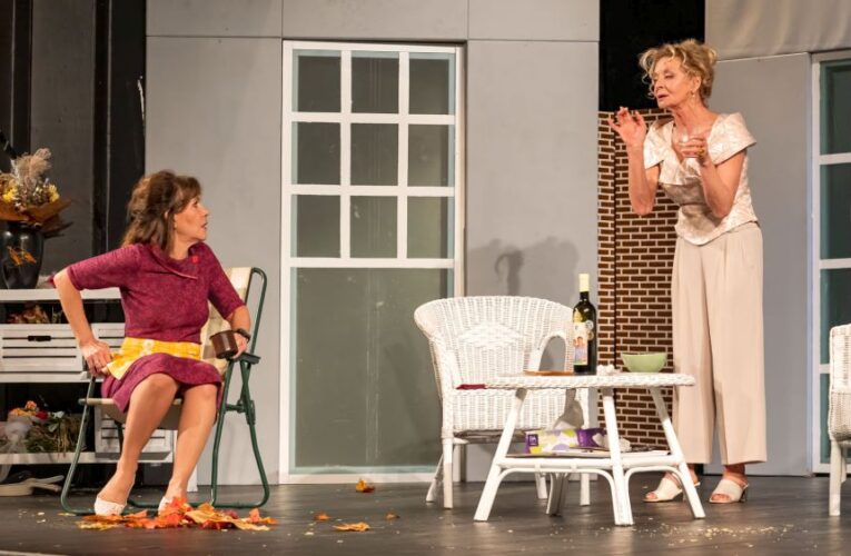 Vyprodané Strašnické divadlo tleskalo Růžovým svatbám. Vilma Cibulková prozradila, proč nemá kamarádky