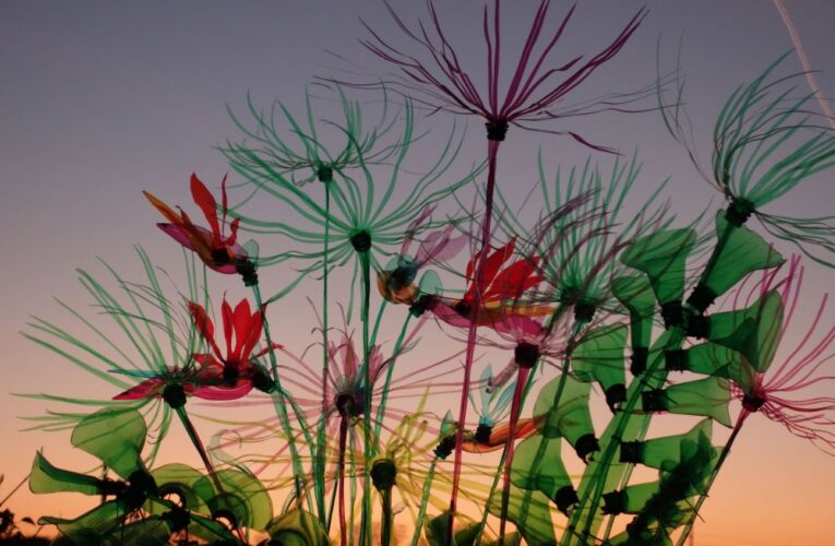 Zima a Vánoce v botanické zahradě v Troji