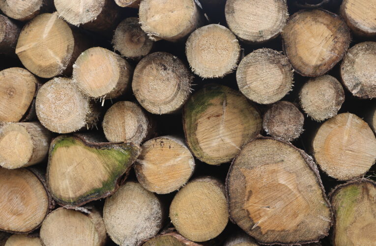 Podpůrný a garanční rolnický a lesnický fond letos již vyplatil téměř  190 milionů korun na zemědělské pojištění