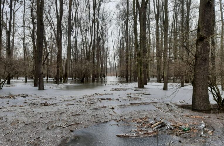 Do obory Soutok nesmí kvůli povodni do konce ledna veřejnost