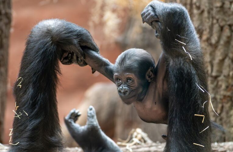 Mobi poznává svět