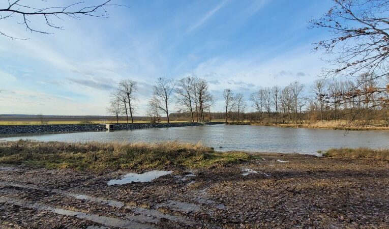 Světový den vody: Lesy ČR letos dokončí 180 vodohospodářských projektů