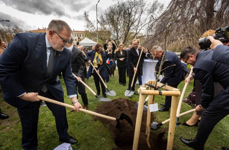 V Praze 2 byla vysazena lípa na počest rumunského národního básníka  Mihaie Eminesca