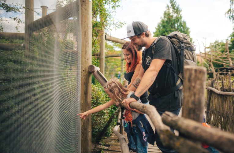 Cestovní ruch na Budějovicku roste. Místním obyvatelům přináší výhody