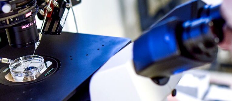 Za prudkým poklesem narozených dětí je i válka nebo klima