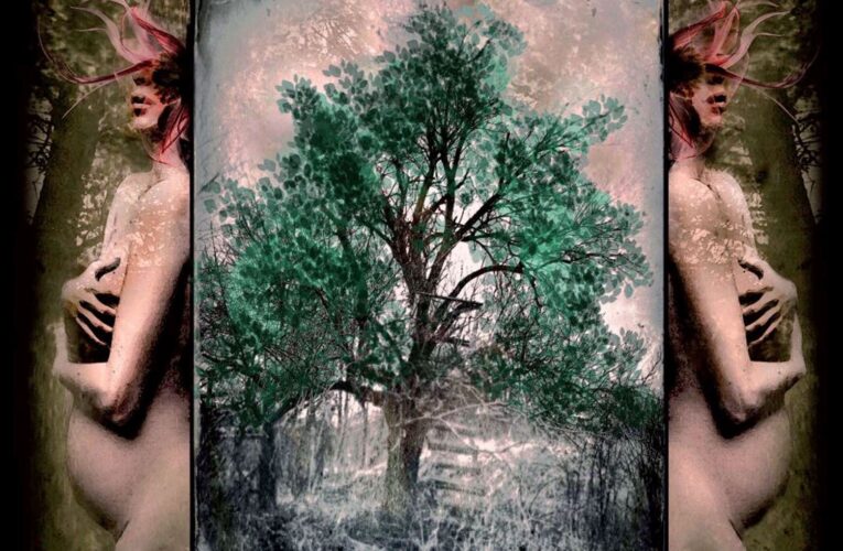 S LIVIN FREE  na novém albu od kolébky  do rakve