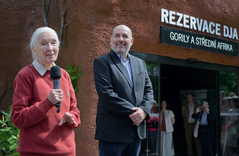 Jane Goodall v Zoo Praha pokřtila gorilí mládě i nový český překlad své knihy
