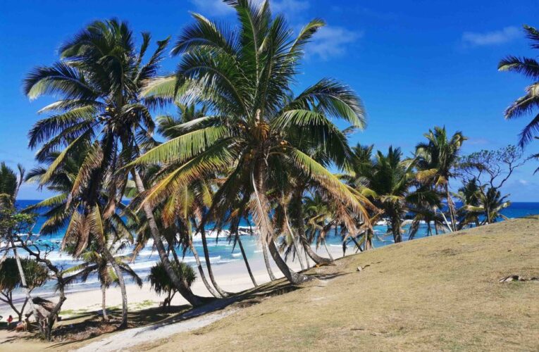 Zájem o individuální cestování sílí.