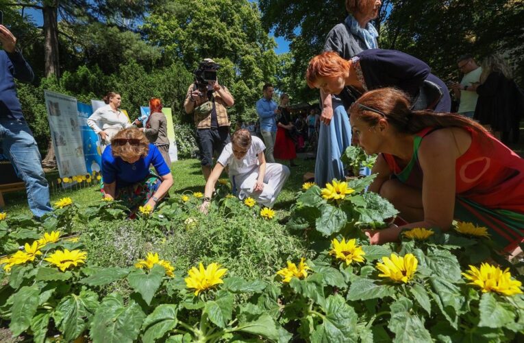 Pacienti s roztroušenou sklerózou zasadí slunečnice