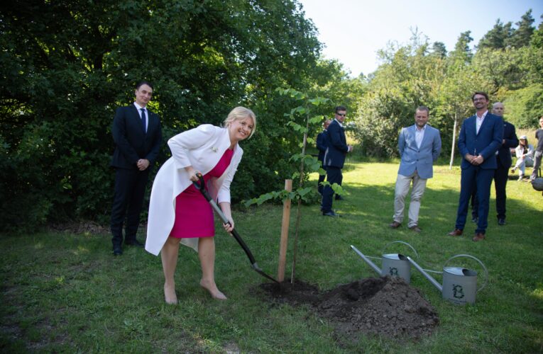 Slovensko má svou lípu v Botanické zahradě Praha, vysadila ji prezidentka Zuzana Čaputová