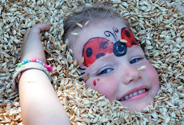 Bioslavnosti ve Starém Městě letos v duchu bio street food