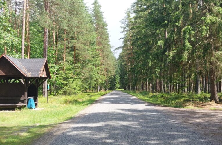Frekventovanou lesní cestu opravily na hranicích s Rakouskem Lesy ČR