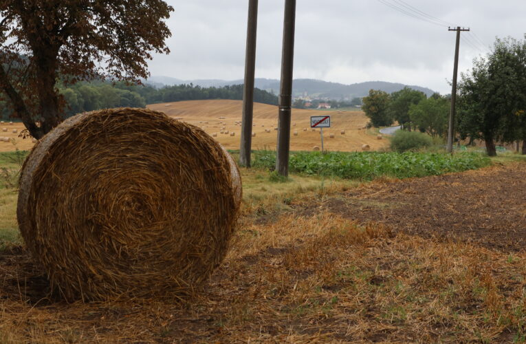 Za úrodu zničenou jarními mrazy dostanou zemědělci kompenzace z unijního rozpočtu ve výši přibližně 378 milionů korun