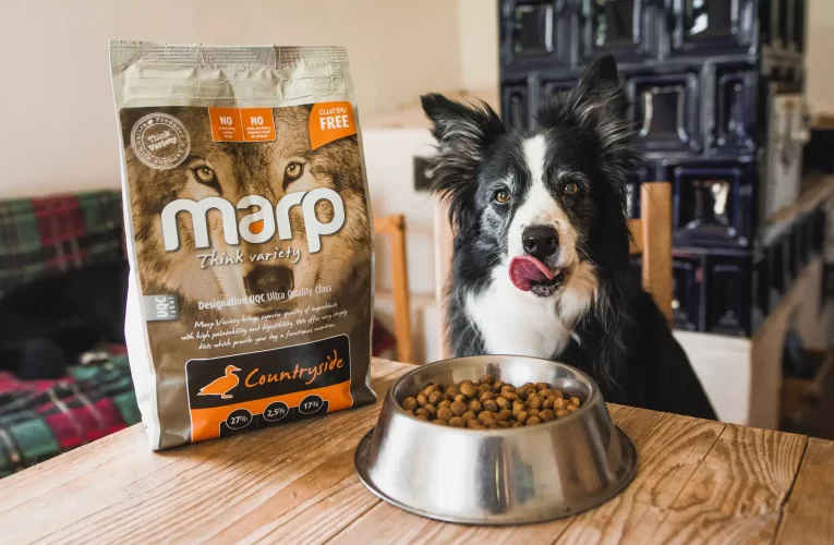 Vyvážený jídelníček psů?  Pohlídejte poměr bílkovin, sacharidů a tuků!