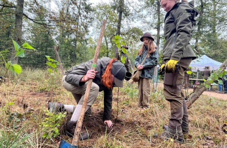 Tisíce lidí dnes měly Den lesů nové generace