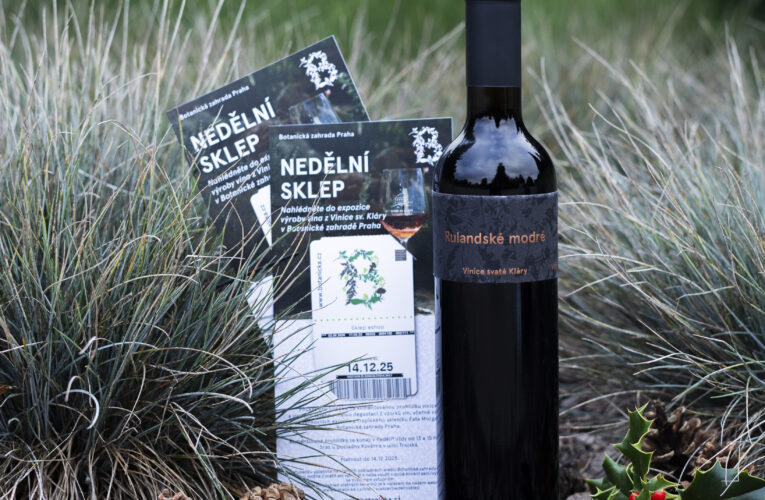 Zážitky a chutě z botanické zahrady pod stromeček