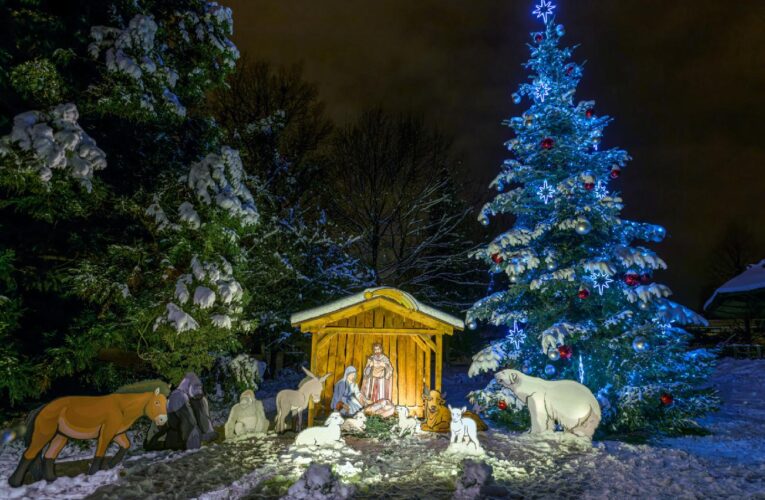 ZOO PRAHA SLAVNOSTNĚ ROZSVÍTÍ VÁNOČNÍ STROM A PŘEDSTAVÍ LETOŠNÍ SIROTKY