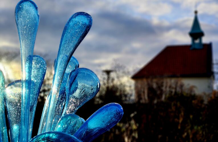 Zimní výstavy a vánoční procházka v botanické zahradě v Troji