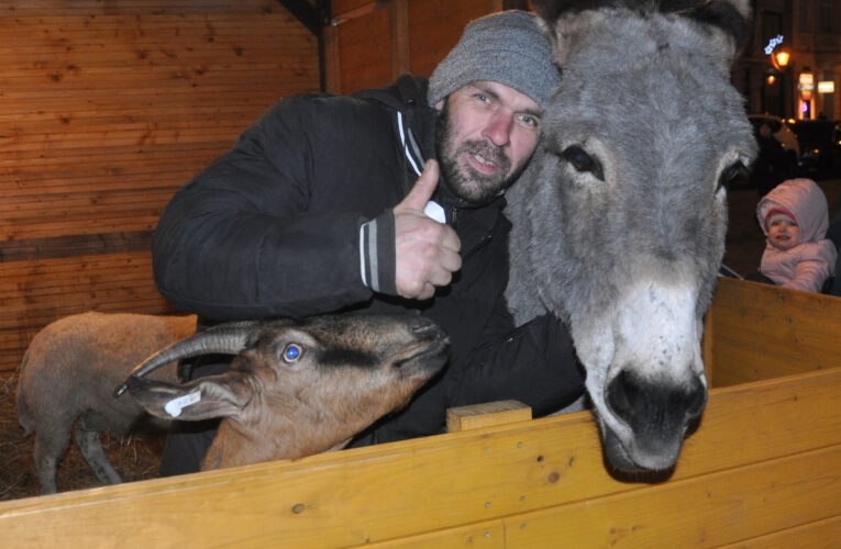Rarita plzeňských vánočních trhů