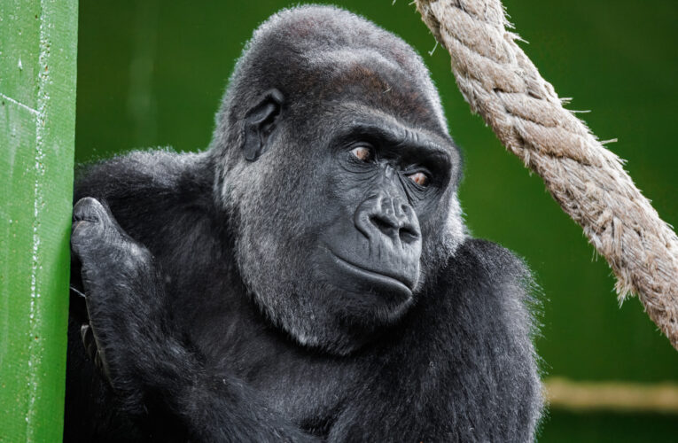 Moja oslavila ve Španělsku 20. narozeniny