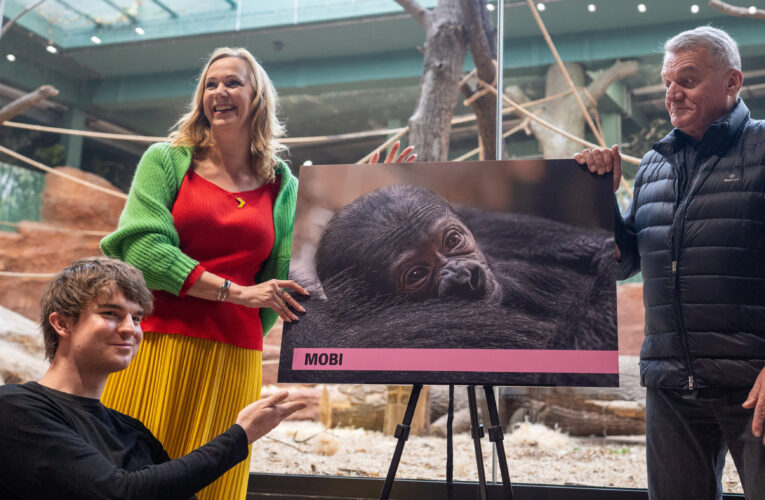 Zoo Praha oznámila vánoční slevu