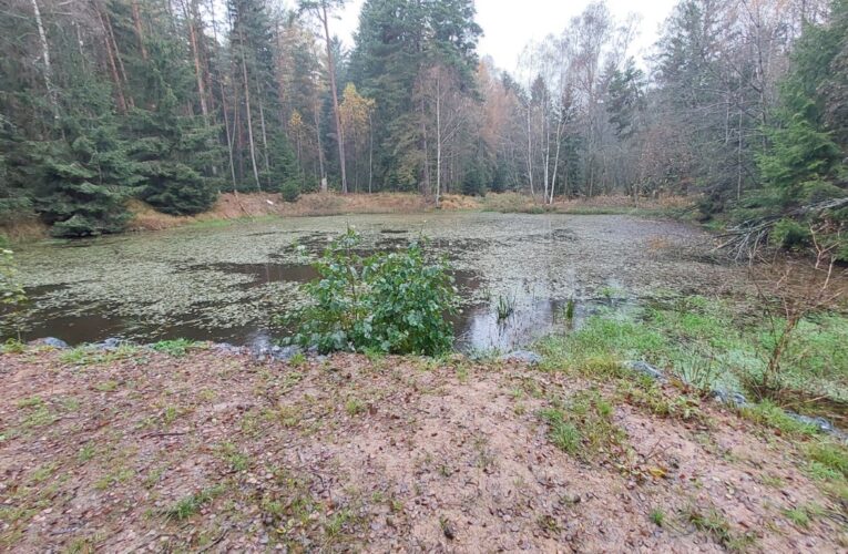 Přírodě blízké opatření:  Z malé nefunkční nádrže na Křivoklátsku je průtočná tůň