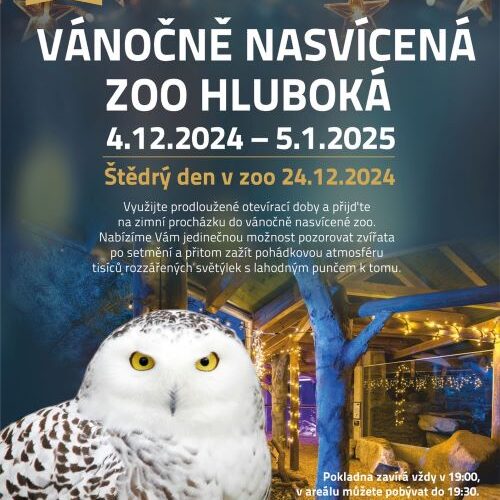 Vánočně nasvícená Zoo Hluboká