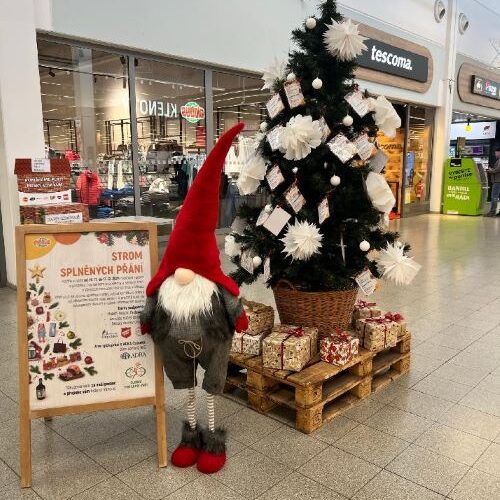 Vánoční stromy v Globusech splní přání opuštěným dětem i seniorům