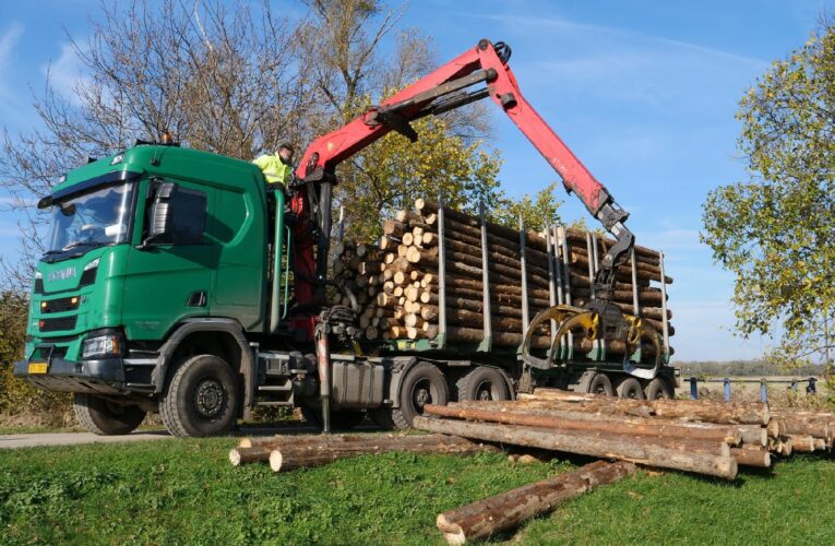 Lesy ČR splnily slib daný po povodních, lidé už topí darovaným dřevem