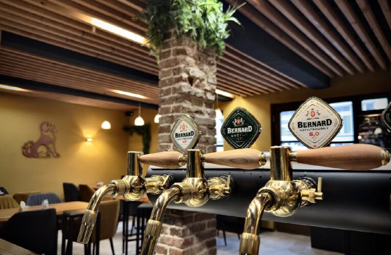 Nejnovější Bernard Bar je v Táboře