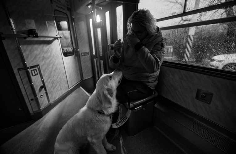 Na cizí psy se bez svolení nesahá. Kampaň, která pomáhá.