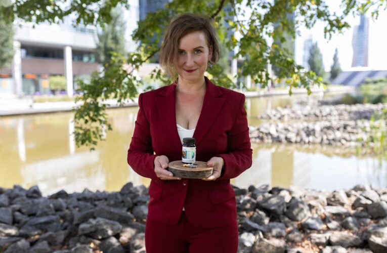 Jak neodstonat jarní prázdniny