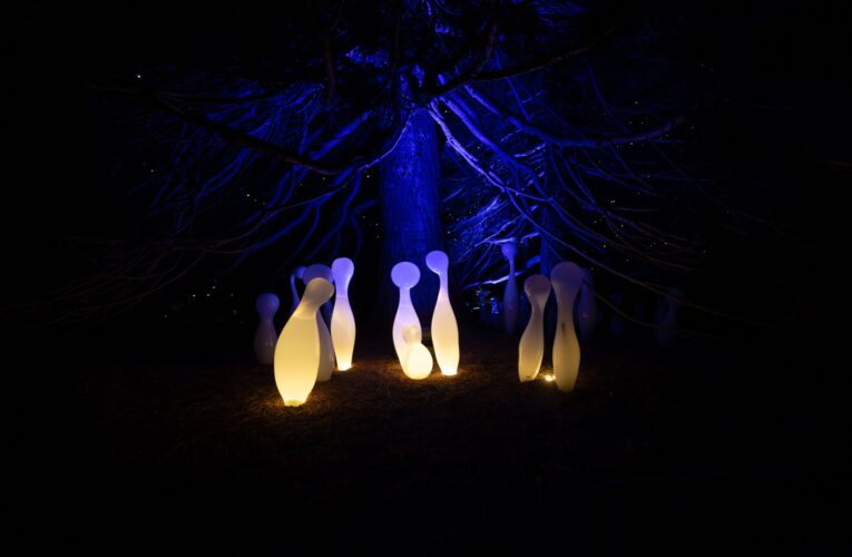 Víkendový výlet za křišťálovou krásou do botanické zahrady v Troji