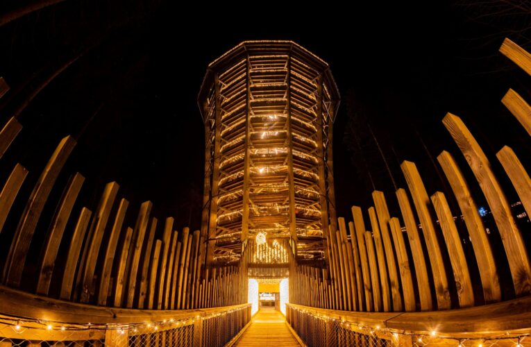 Magické světlo v korunách stromů: Světelné stezky v Krkonoších a na Lipně ožívají statisíci světly