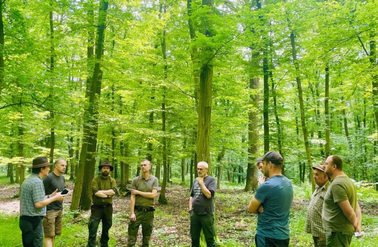 Lesy ČR naplňují Ždánické memorandum, zahájily společný projekt s Mendelovou univerzitou v Brně
