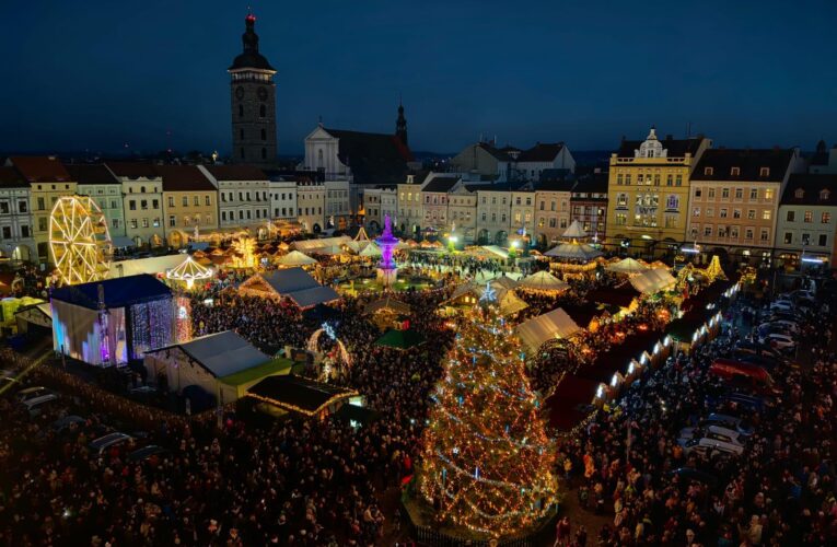 Českobudějovický vánoční strom dostane druhý život: zrodí se z něj umělecká socha