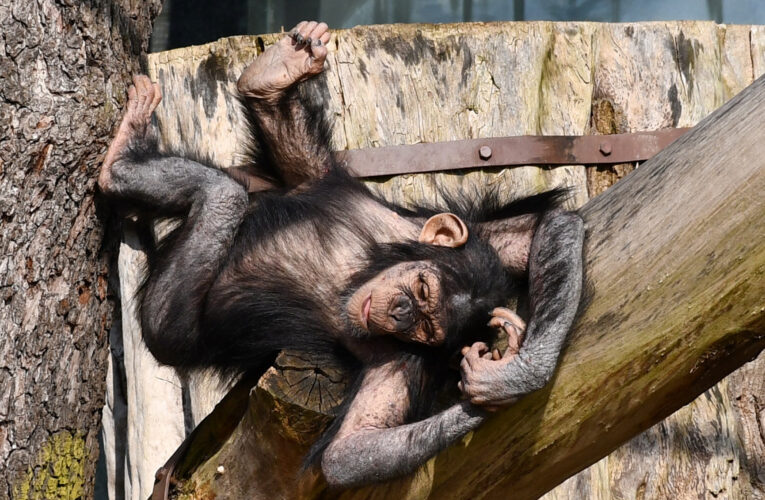 Jarní prázdniny v plzeňské ZOO