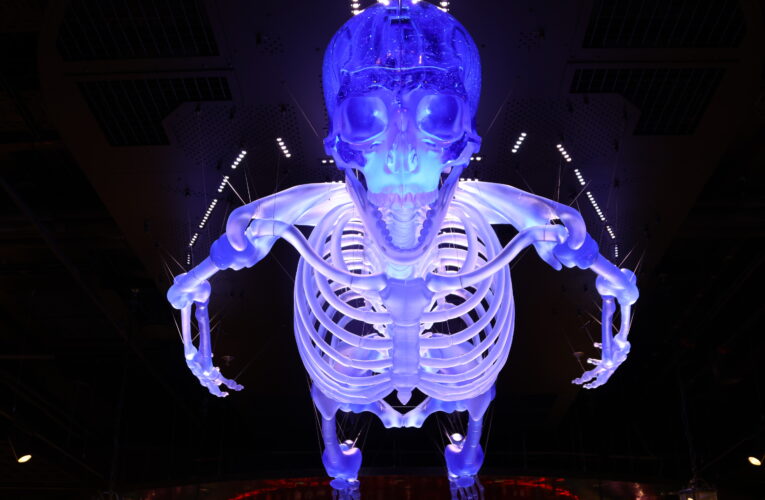 Největší skleněný kostlivec na světě nově zdobí pražský Máj – House of Fun