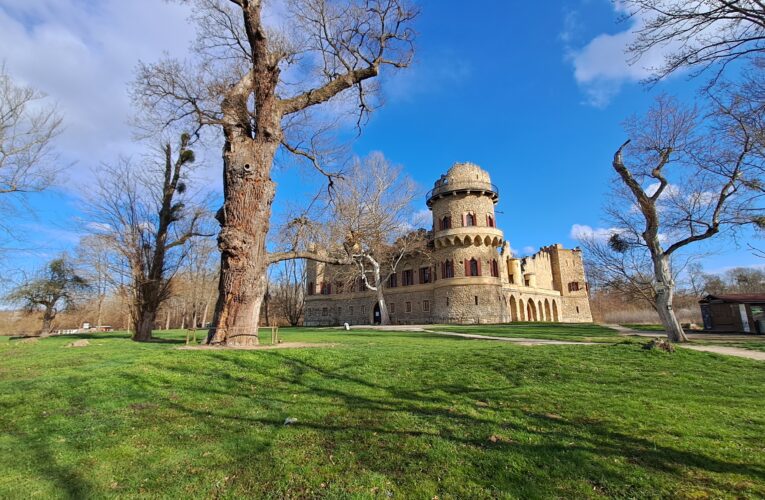 Vegetaci v Lednicko-valtickém areálu obnovují Lesy ČR