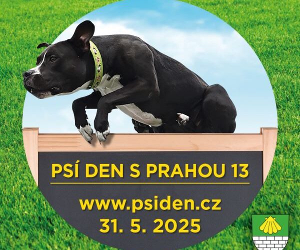S láskou k pejskům – každá stovka dobrá