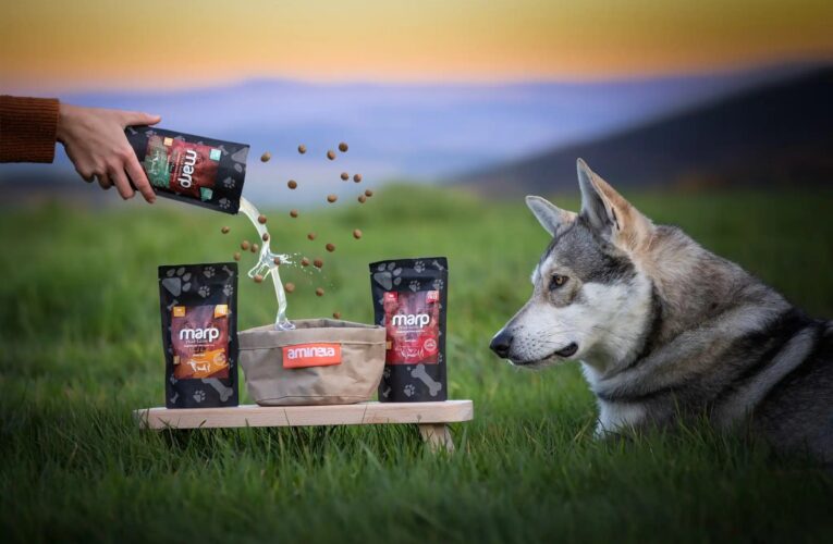 Psi na horských túrách: