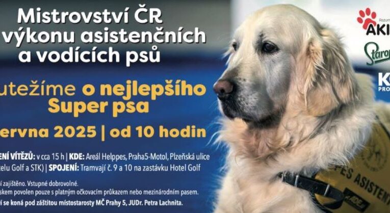 Na Mistrovství České republiky ve výkonu asistenčních a vodících psů oceníme nejlepší výkony psích pomocníků