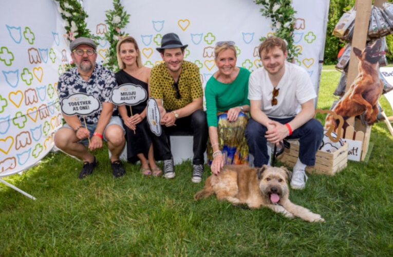 Když se pejsci radují…..