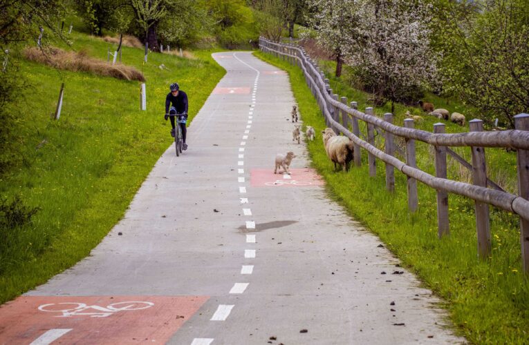 Cyklobusy na Východní Moravě rozšiřují nabídku: Nově do Chřibů a k cyklostezce Bevlava