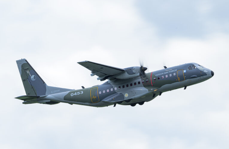 Do Kazachstánu míří sedm koní Převalského