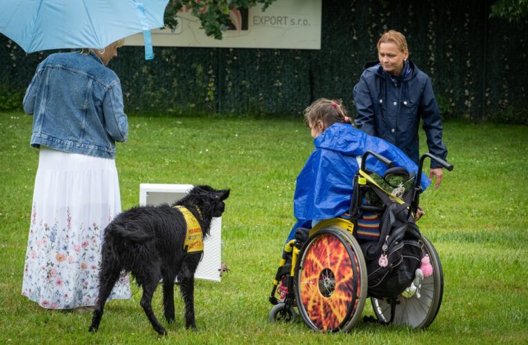 Na Mistrovství České republiky ve výkonu asistenčních a vodících psů pořadatelé ocenili nejlepší výkony psích pomocníků TZ: 11. června 2025